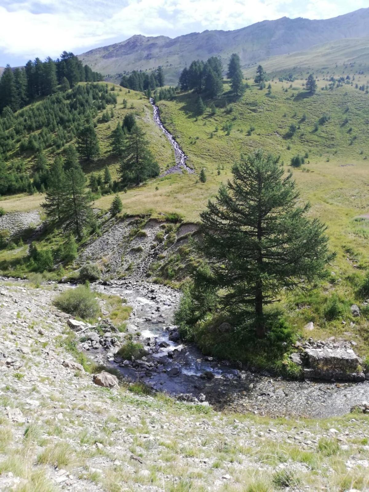 App Vue Montagne Proche Piscine Rando Riviere Nature Apartment Barcelonnette